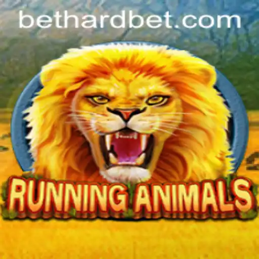 bethard Casino App